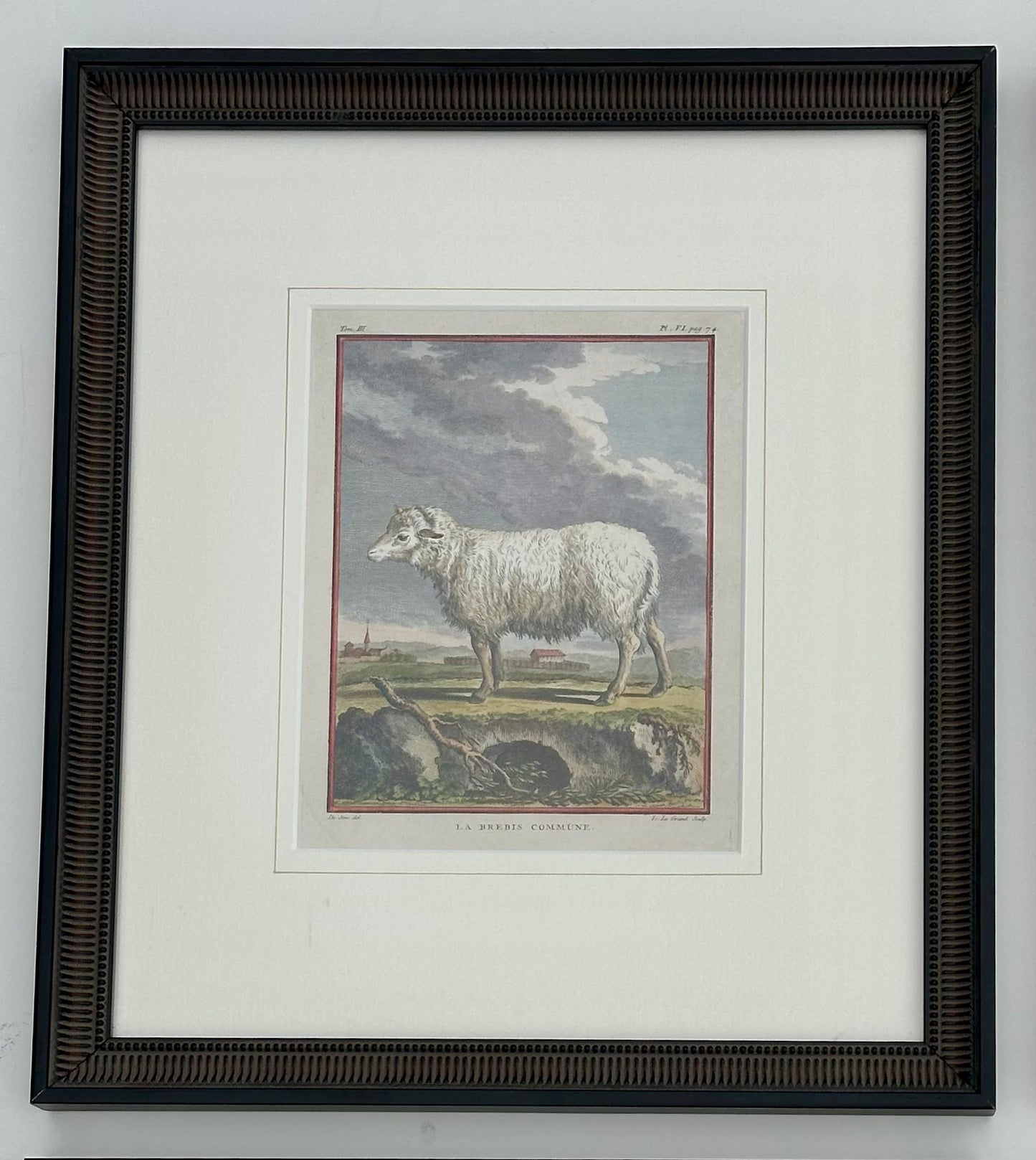 S/4 Buffon Animals, Original engravings, 1755 (framed)