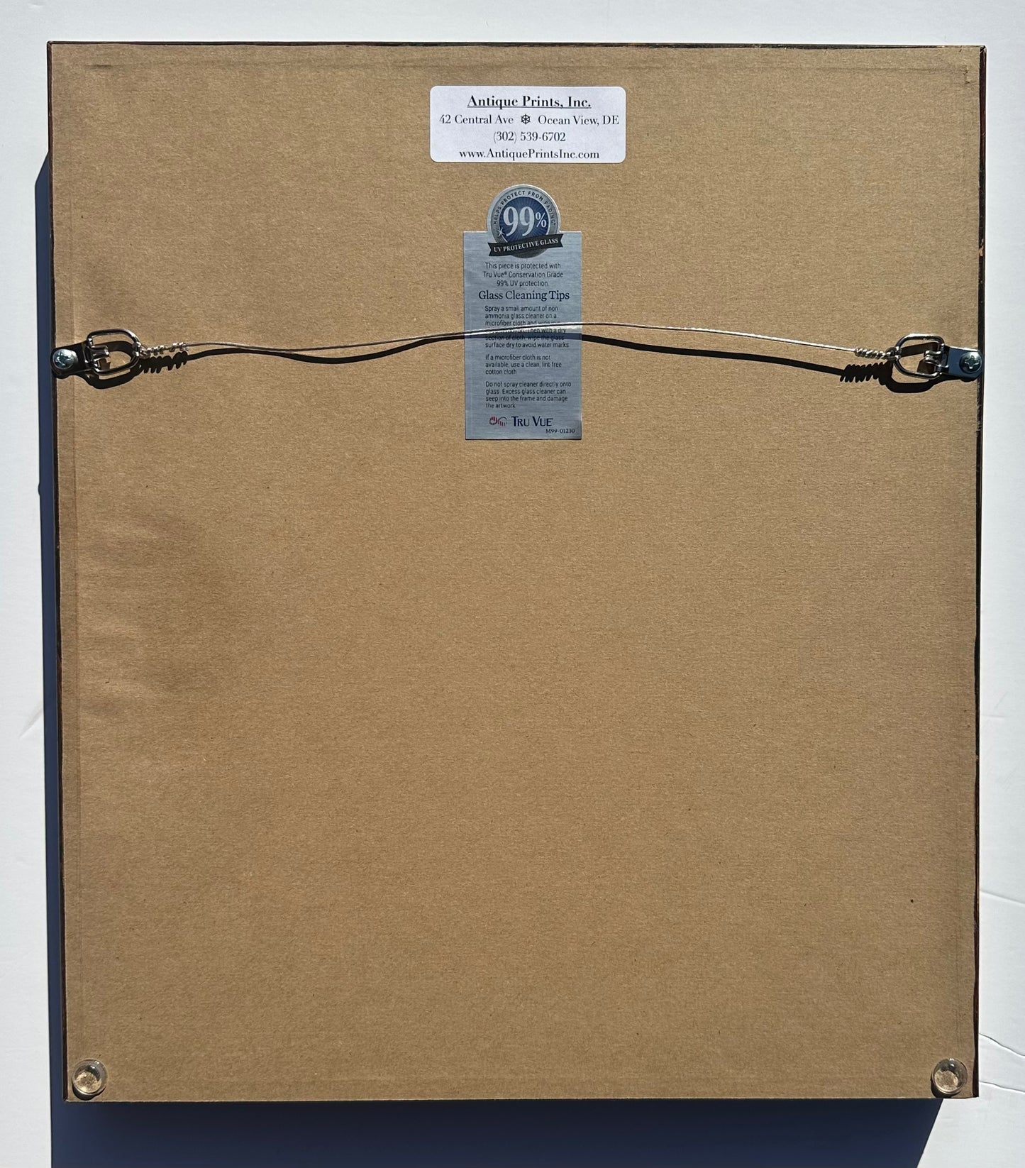 Dragonfly study, original print by Dru Drury, 1837