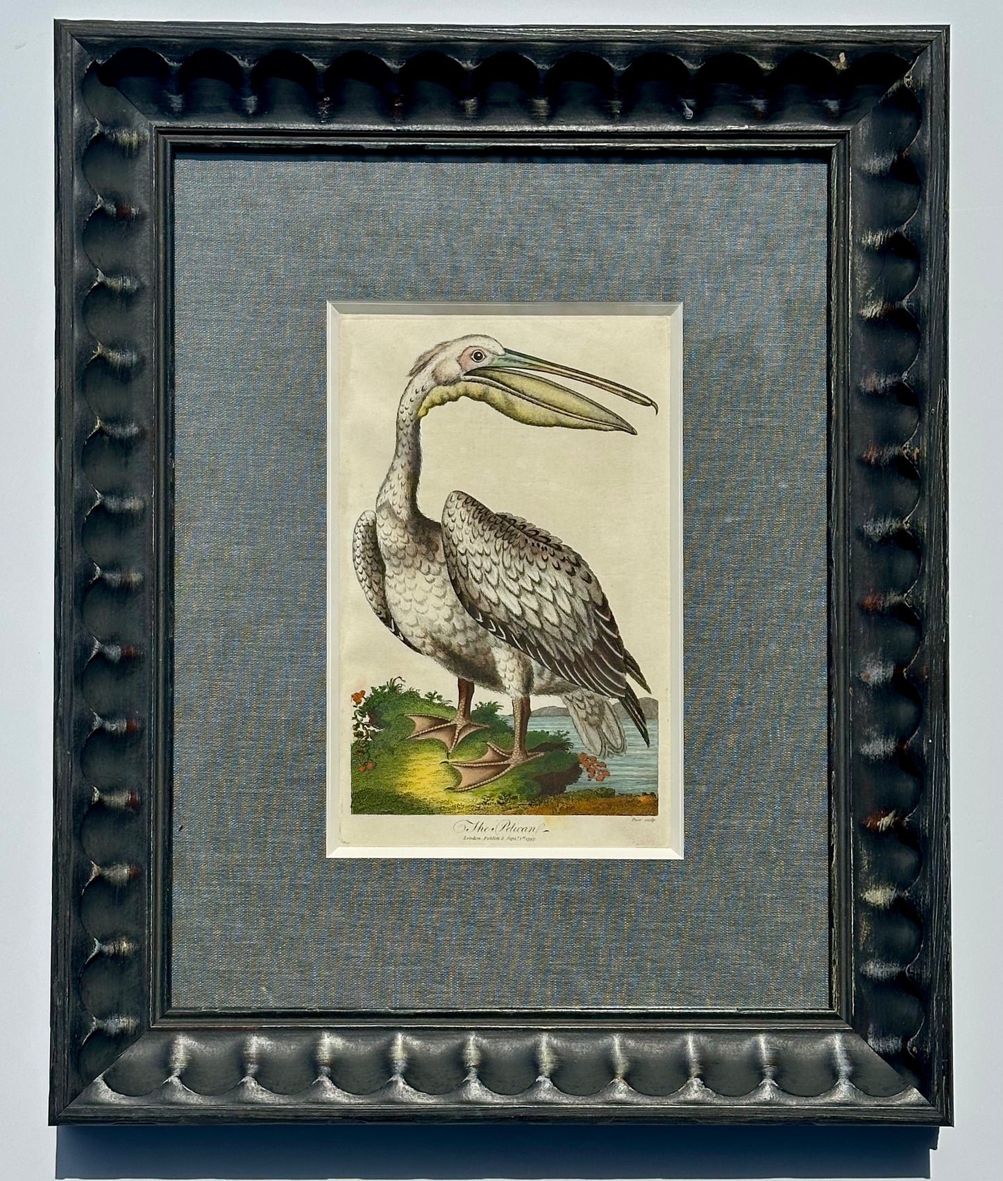 Antique Pelican framed print by J. Pass, 1797