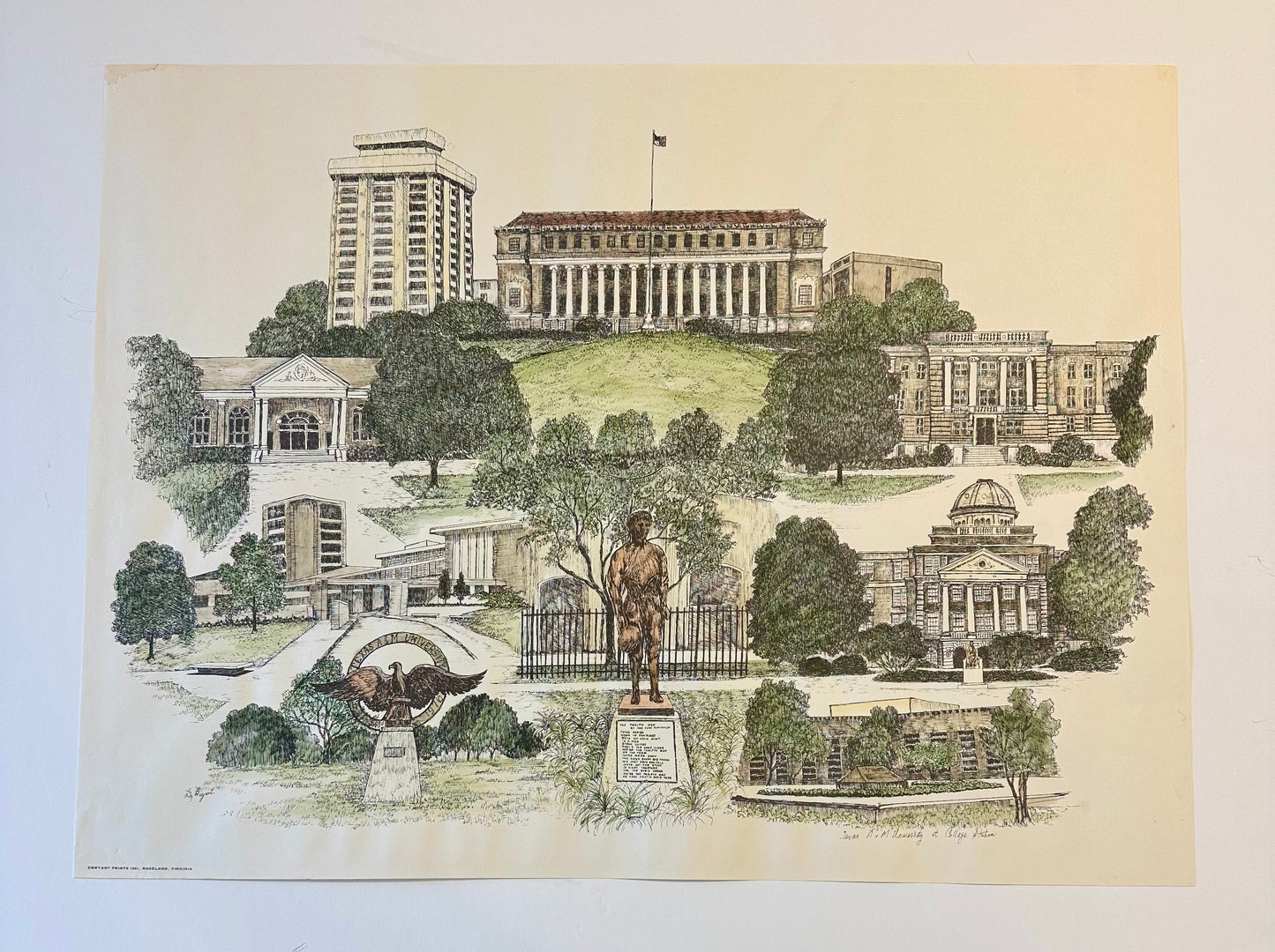 Texas A & M University print by Liz Bryant