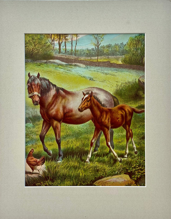 Horse & Colt Original Chromolithograph limited edition by artist Russ Johnson