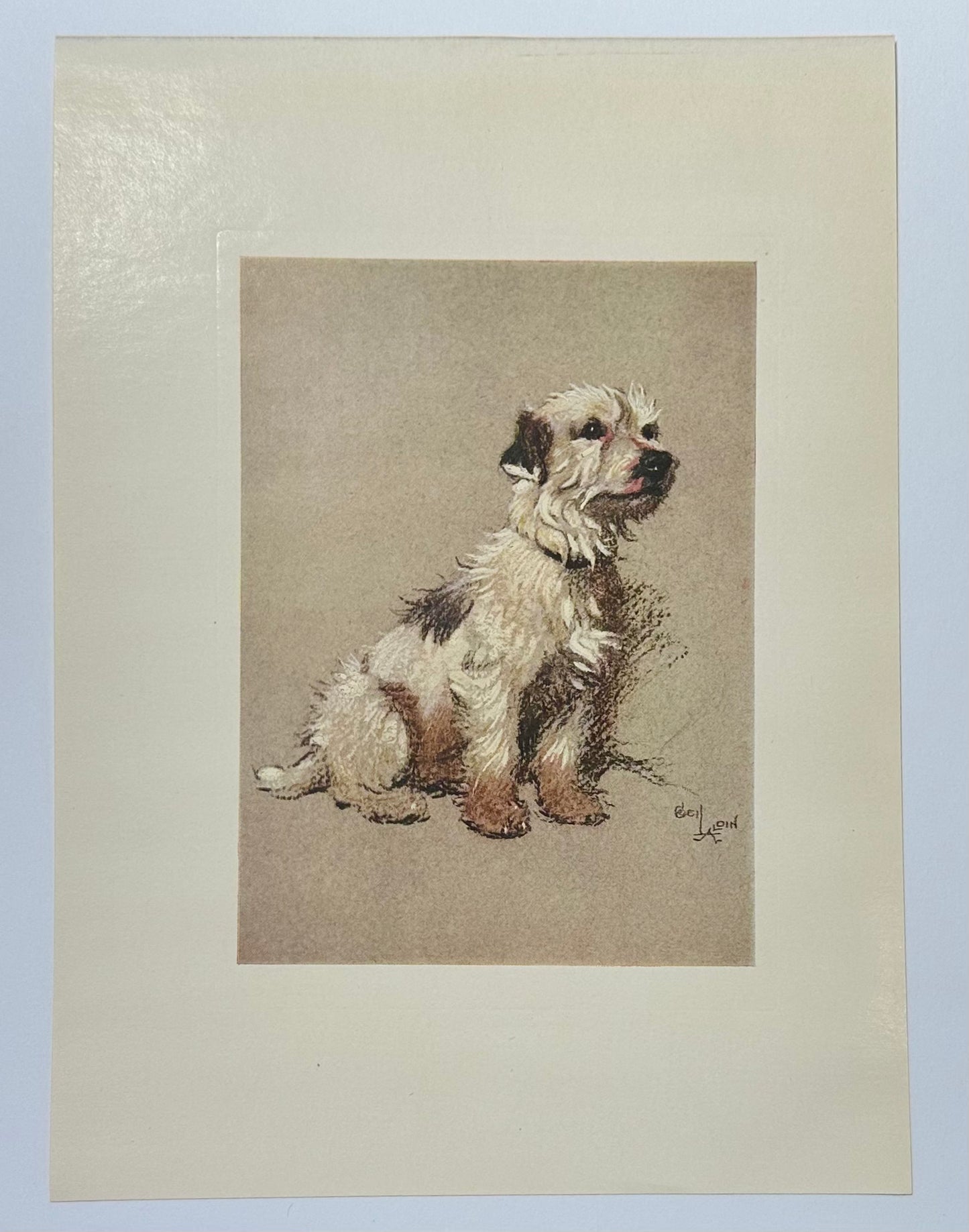 Hunt Fox Terrier Dog by Cecil Aldin, 1928