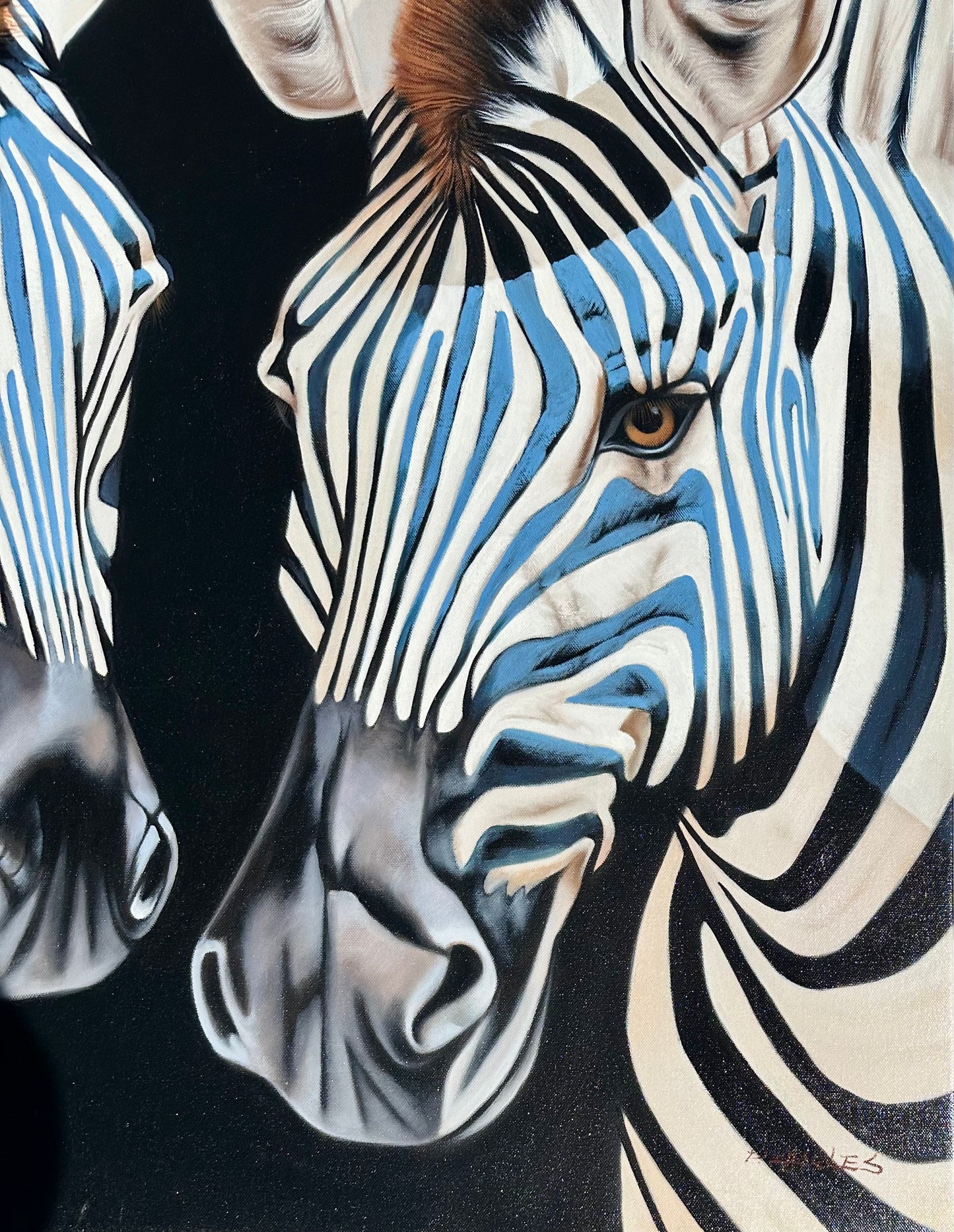 Zebra Oil Painting by P. Charles