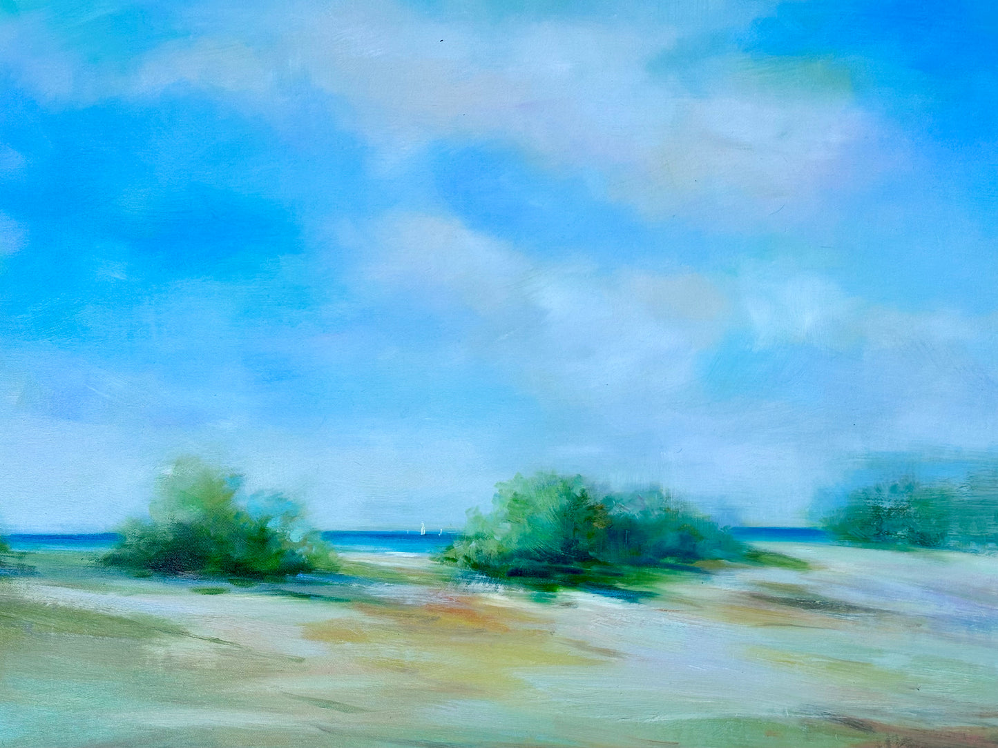 Coastal Beach Dune Blue Sky Seascape Oil Painting By D. Kim