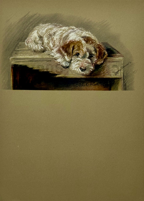 Sealyham Terrier by Lucy Dawson, 1946