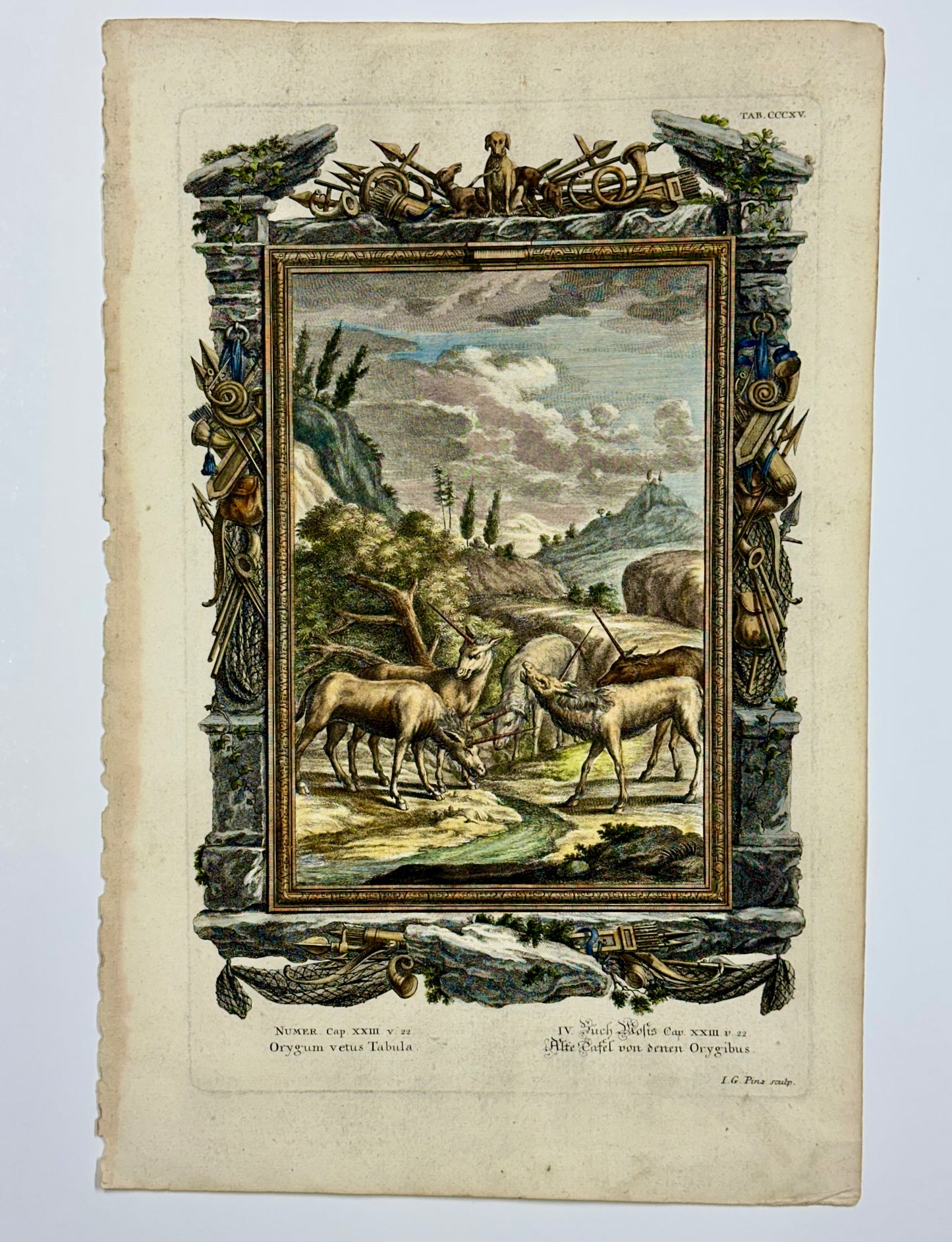 Antelopes Original Print by Johann Jakob Scheuchzer, 1731