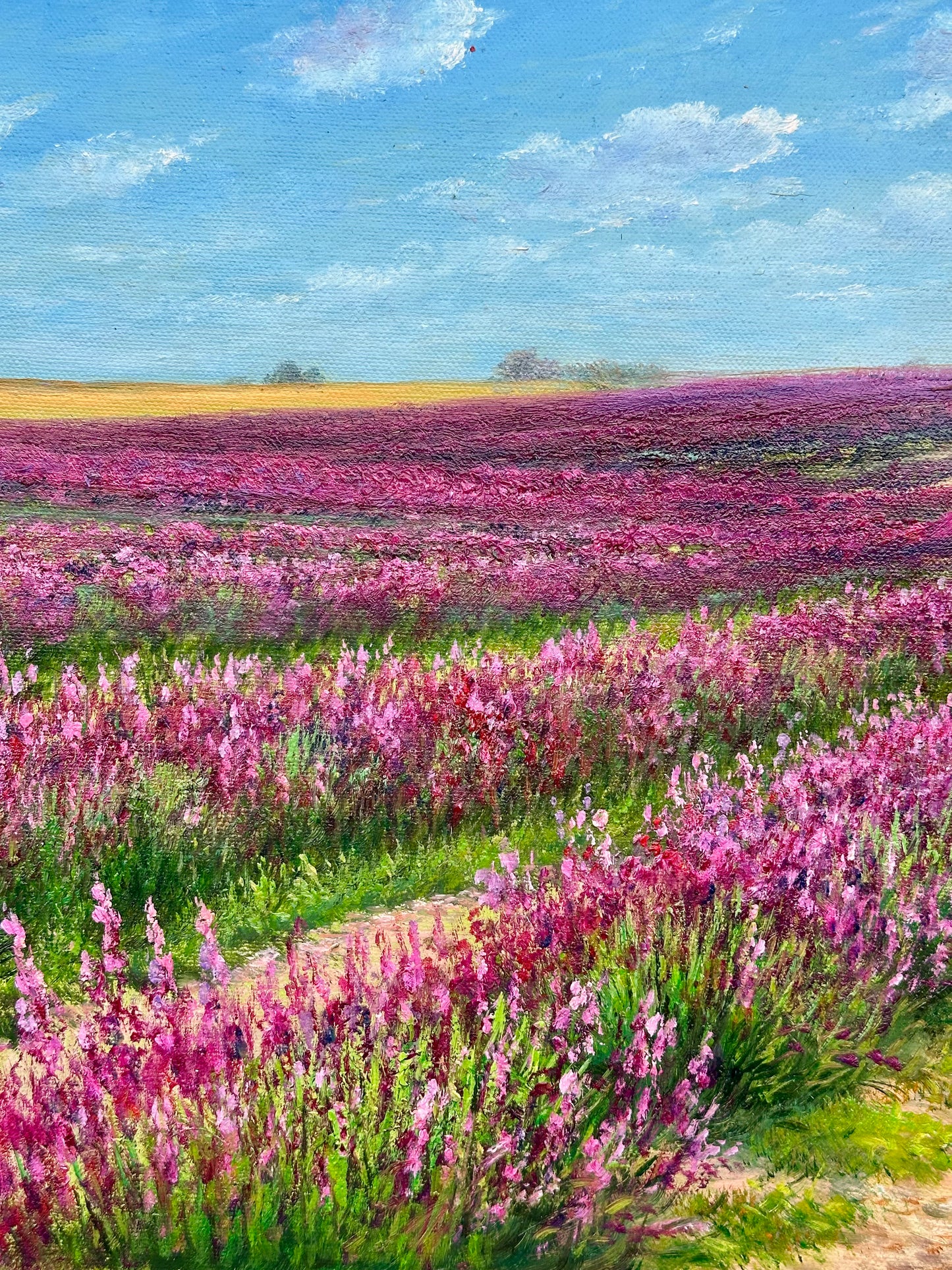Lavender Fields Landscape Oil Painting on Canvas, Unstretched, by Humprey