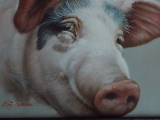 Charming Pig