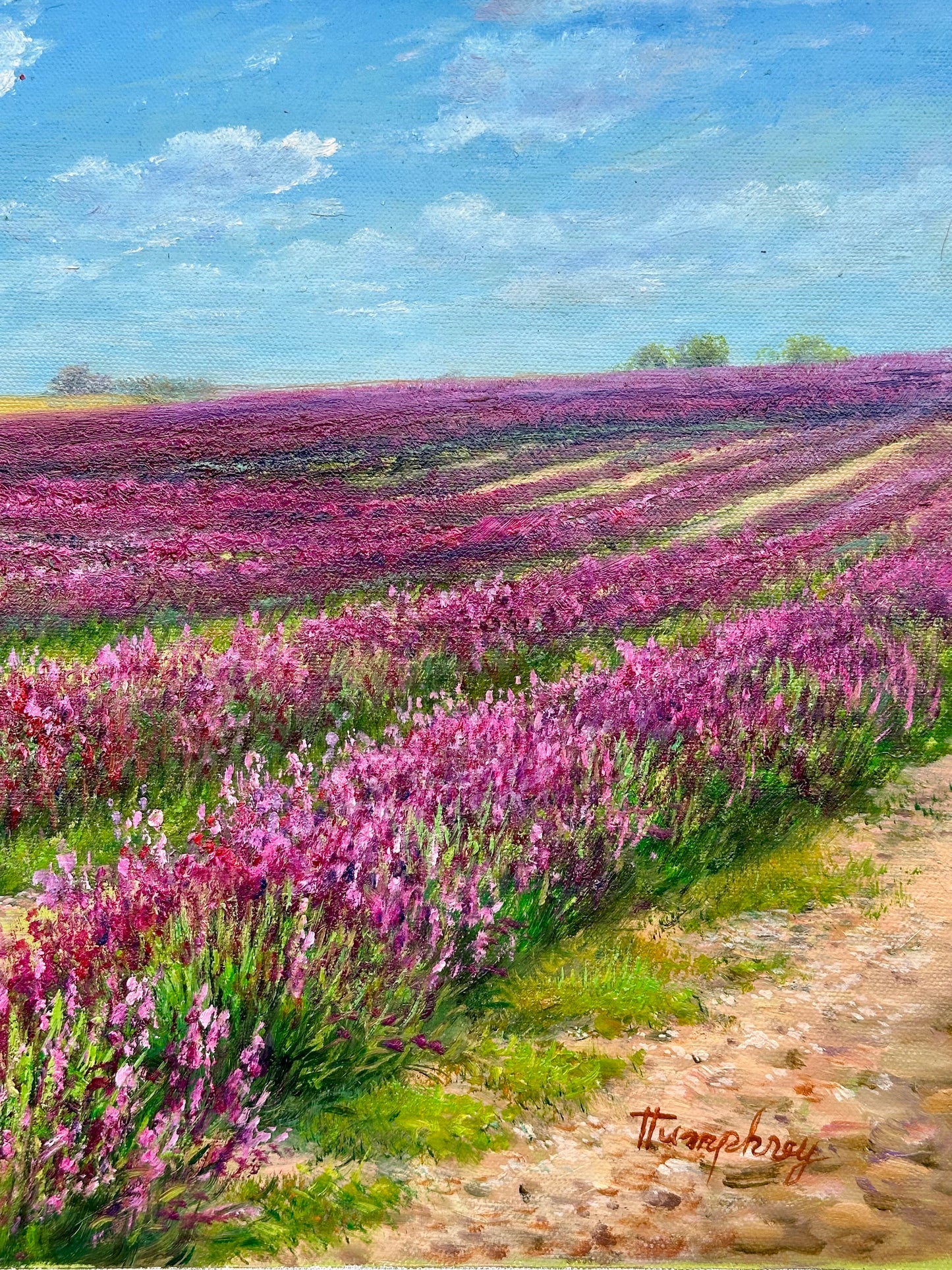 Lavender Fields Landscape Oil Painting on Canvas, Unstretched, by Humprey