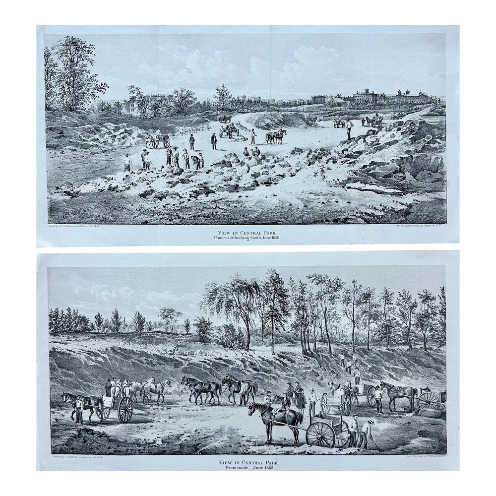 Central Park Engravings - Rare, Set of Two Historical Prints, 1858