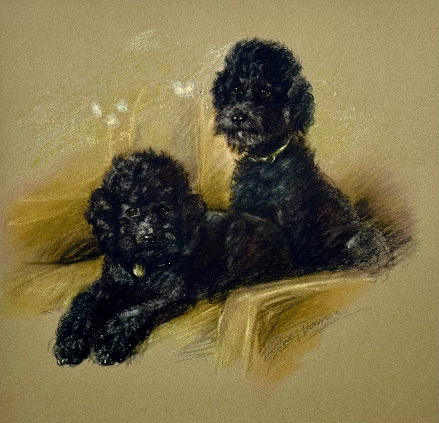 Black Poodle Dogs by Lucy Dawson, 1946