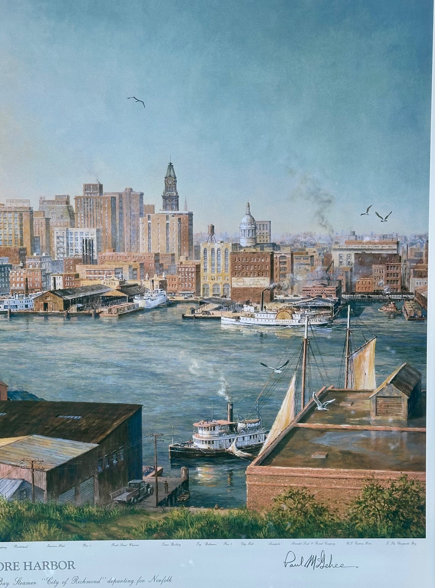 Baltimore Harbor from Federal Hill, Framed Limited Edition Print – Signed Paul McGehee