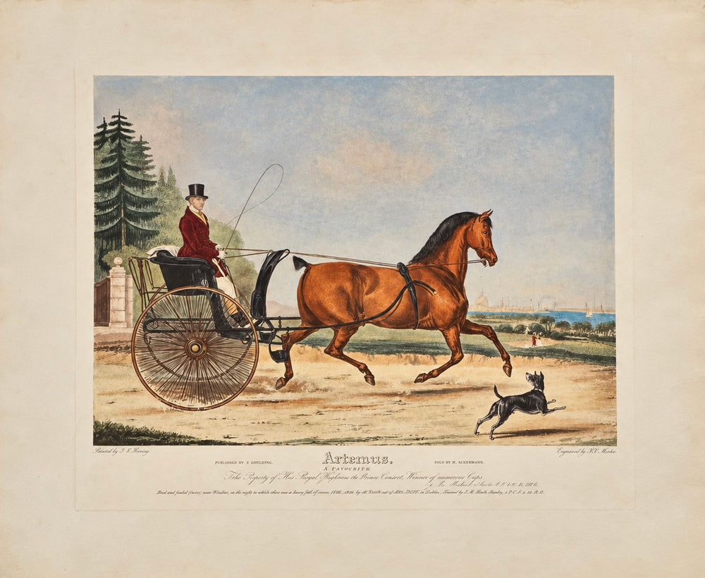 Artaxerxes – Large Original 1838 Hand-Colored British Equestrian Aquatint by F.C. Turner