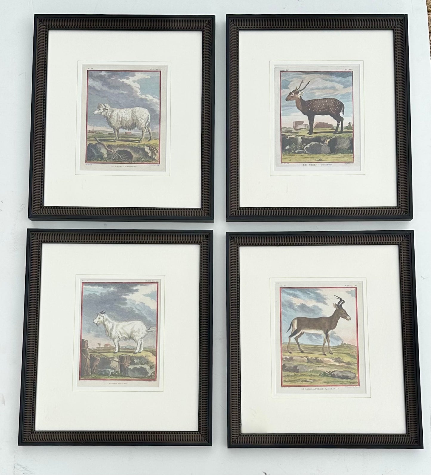 S/4 Buffon Animals, Original engravings, 1755 (framed)
