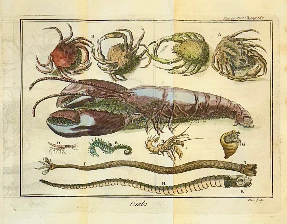 Lobster, Seahorse & Crab Original Engraving Le Spectacle de la Nature, Paris, 1741