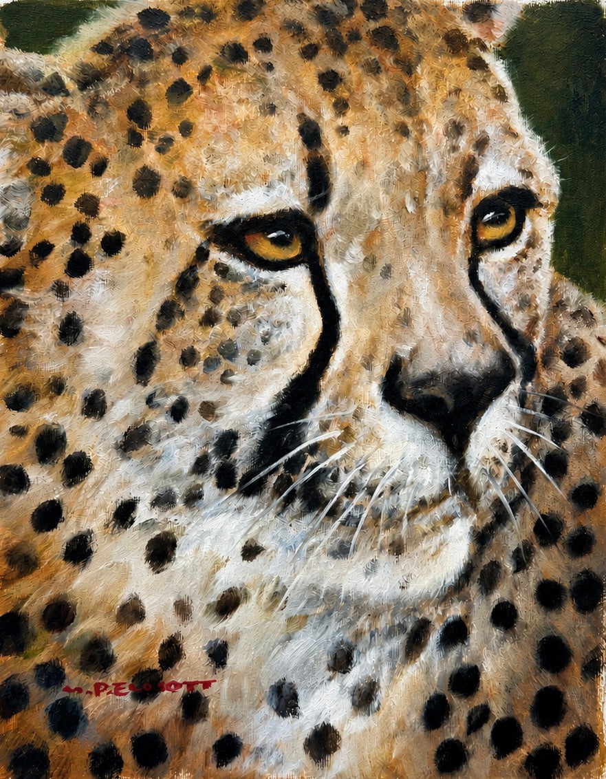 Original Cheetah Portrait Oil Painting on Canvas | Wildlife Art | 8x10 | Signed Prescott