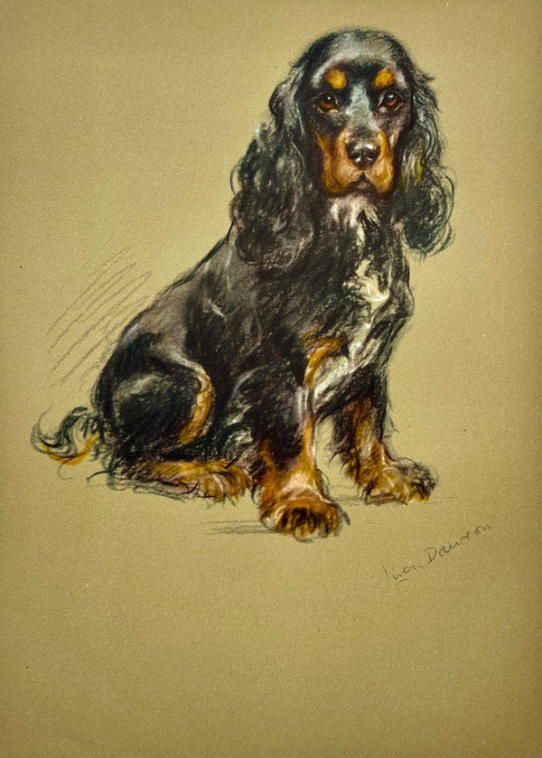 Cocker Spaniel by Lucy Dawson, 1946