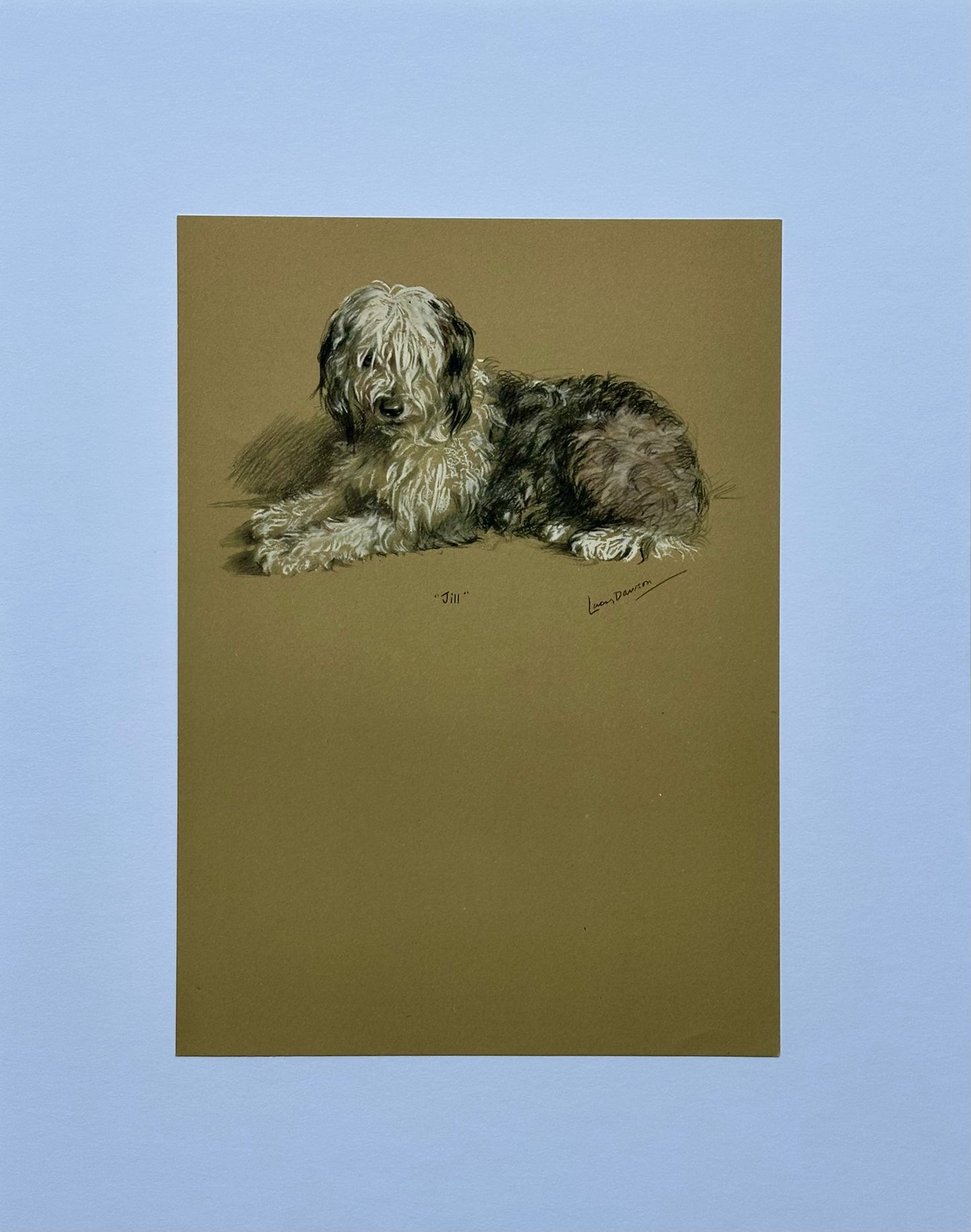 English Sheepdog by Lucy Dawson, 1946