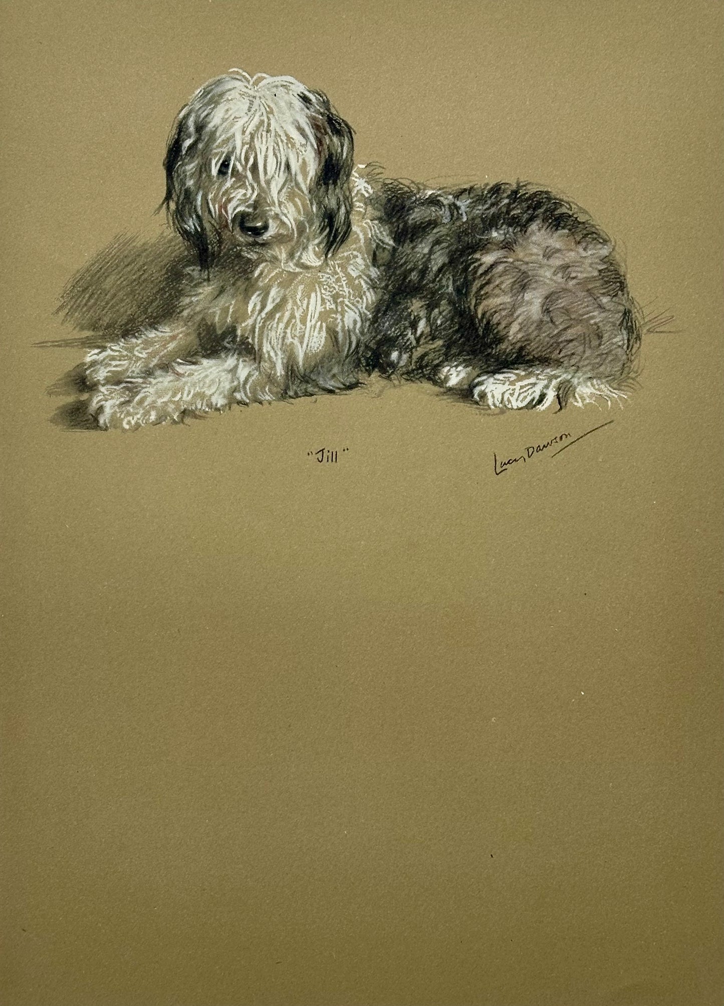 English Sheepdog by Lucy Dawson, 1946