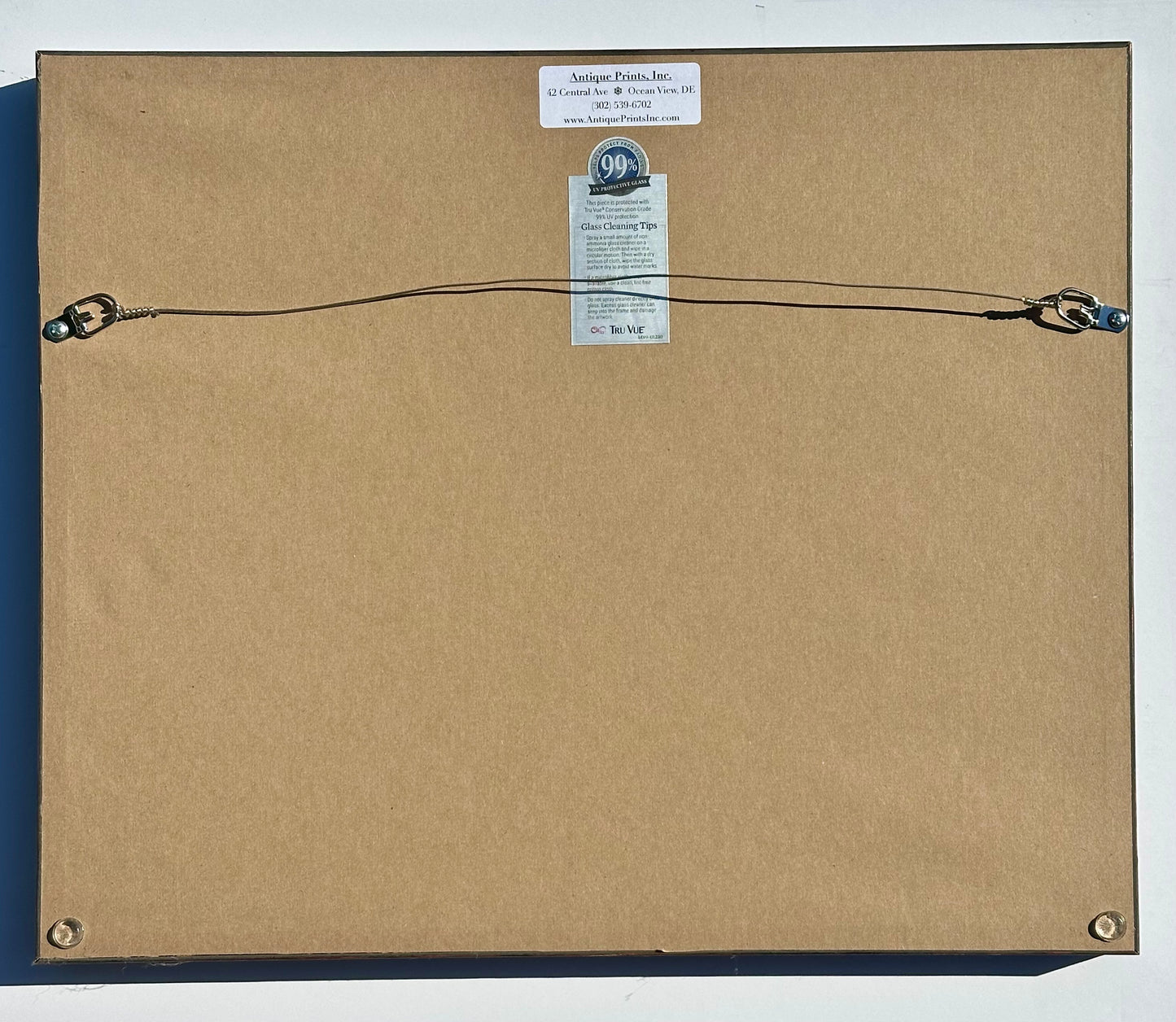 Cobra Snake Print by Schinz, Custom Framed