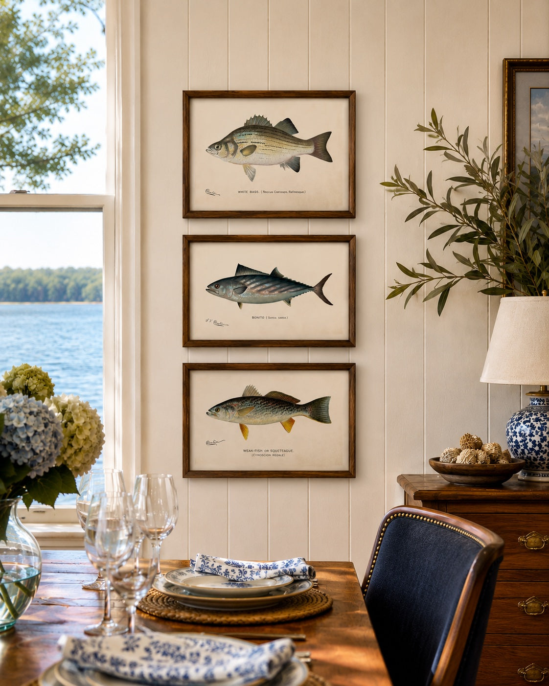 White Bass, Bonito & Weakfish - by Denton Circa 1903, S/3