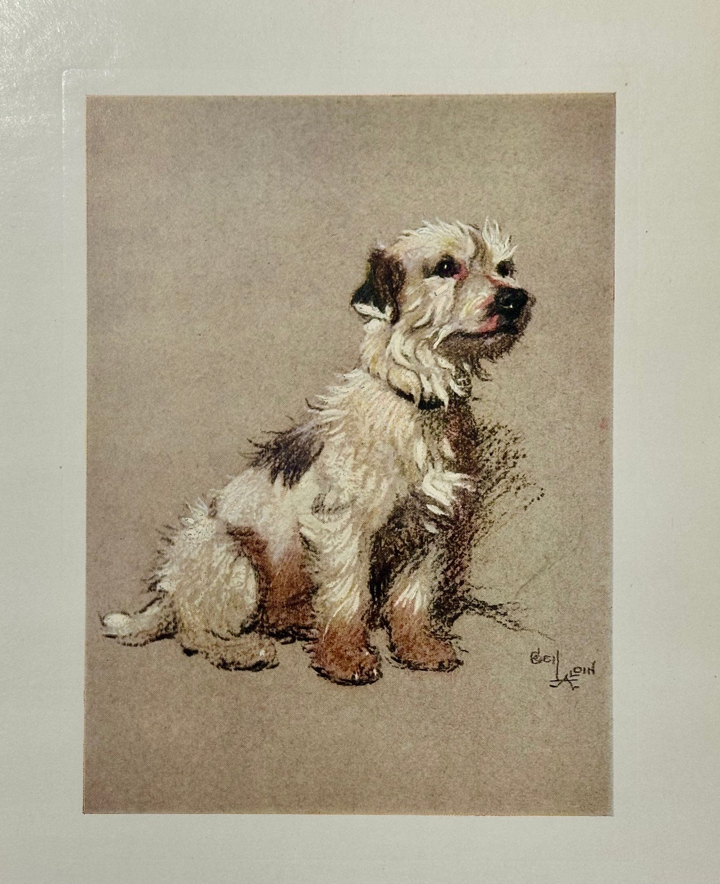 Hunt Fox Terrier Dog by Cecil Aldin, 1928
