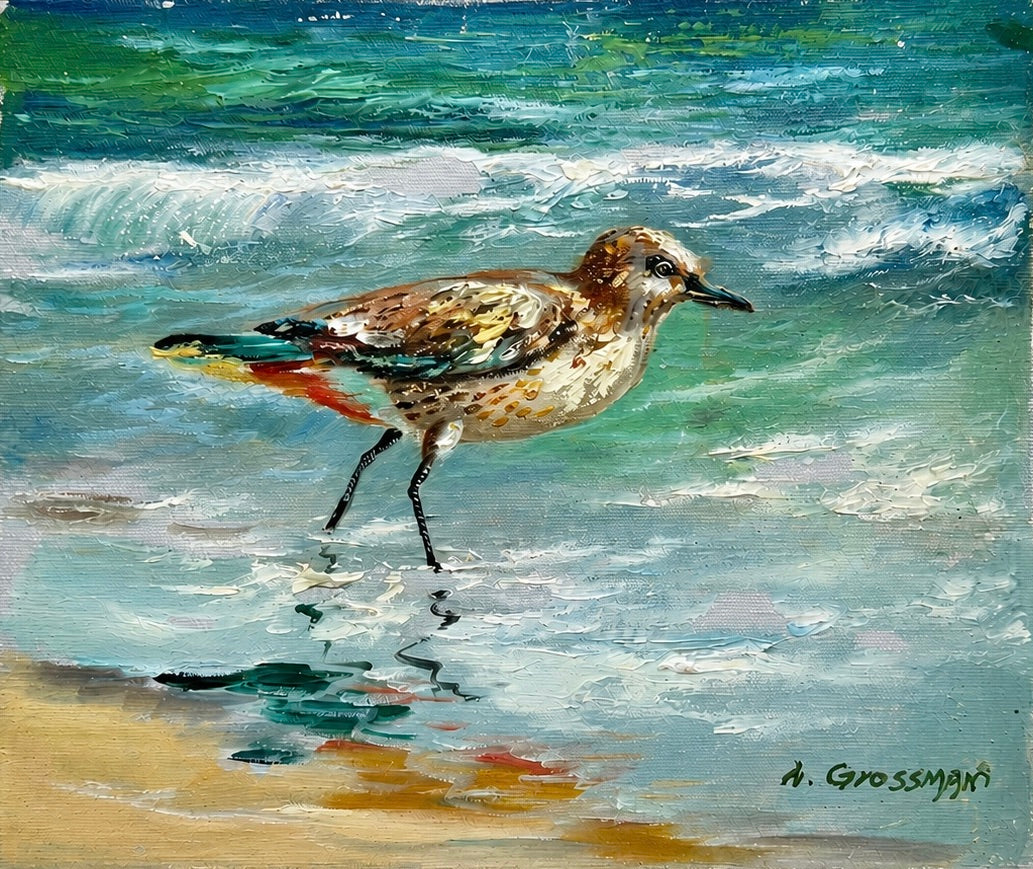Coastal Sandpiper Oil Painting on Canvas by A. Grossman, 8 x 10"