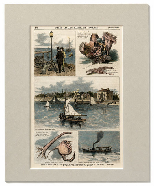 North Carolina—The Seaside School of the Johns Hopkins University of Baltimore, at Beaufort
