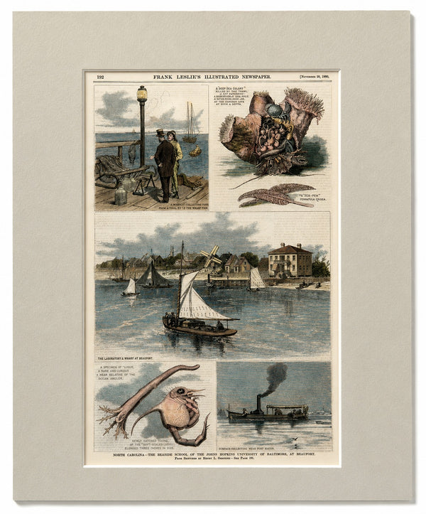 North Carolina—The Seaside School of the Johns Hopkins University of Baltimore, at Beaufort