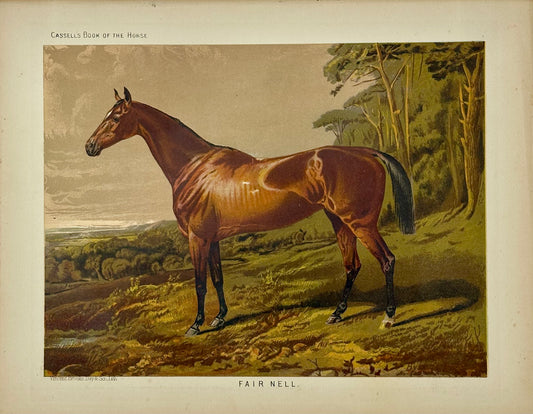 Fair Nell Horse Print by Cassell, 1885