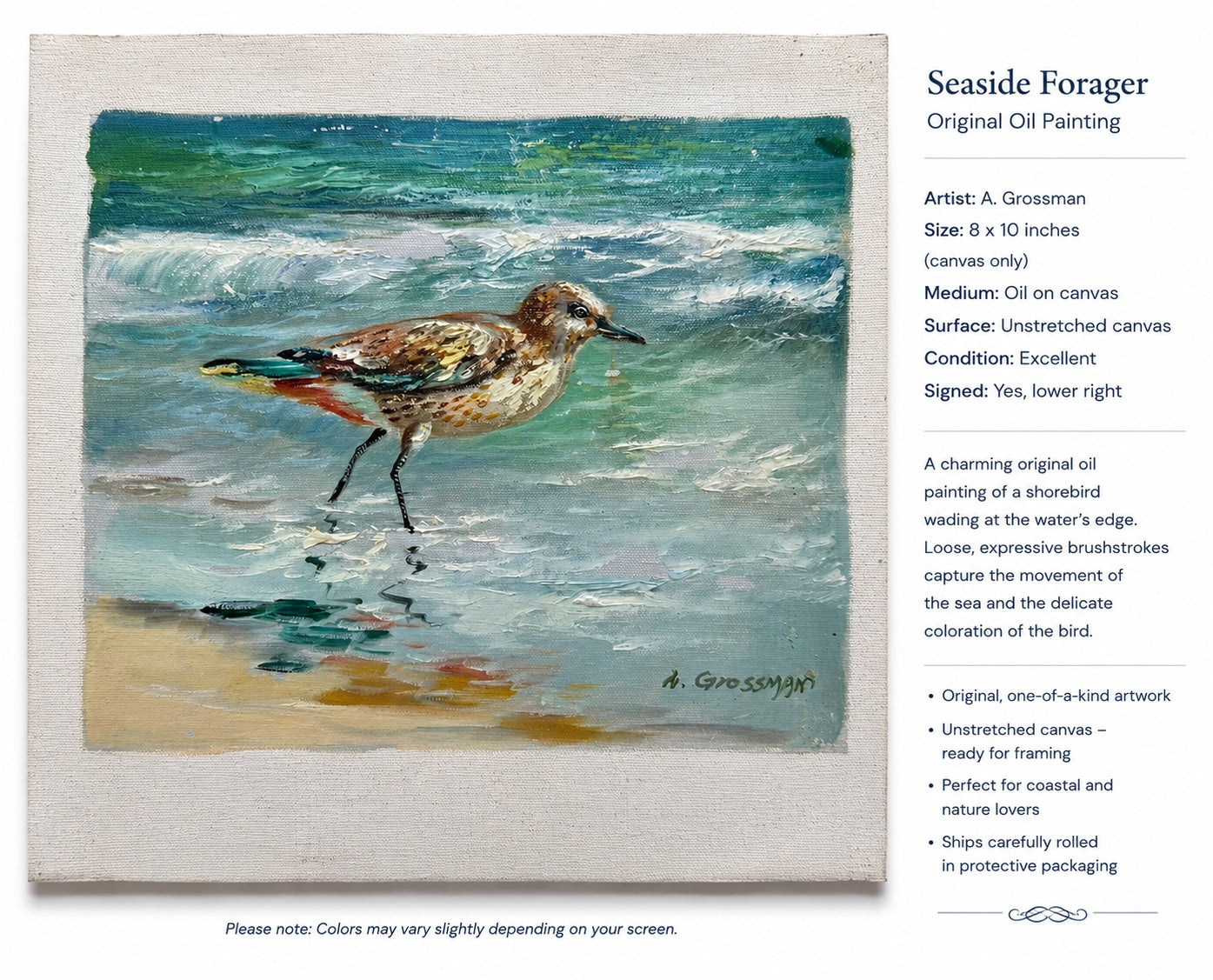 Coastal Sandpiper Oil Painting on Canvas by A. Grossman, 8 x 10"