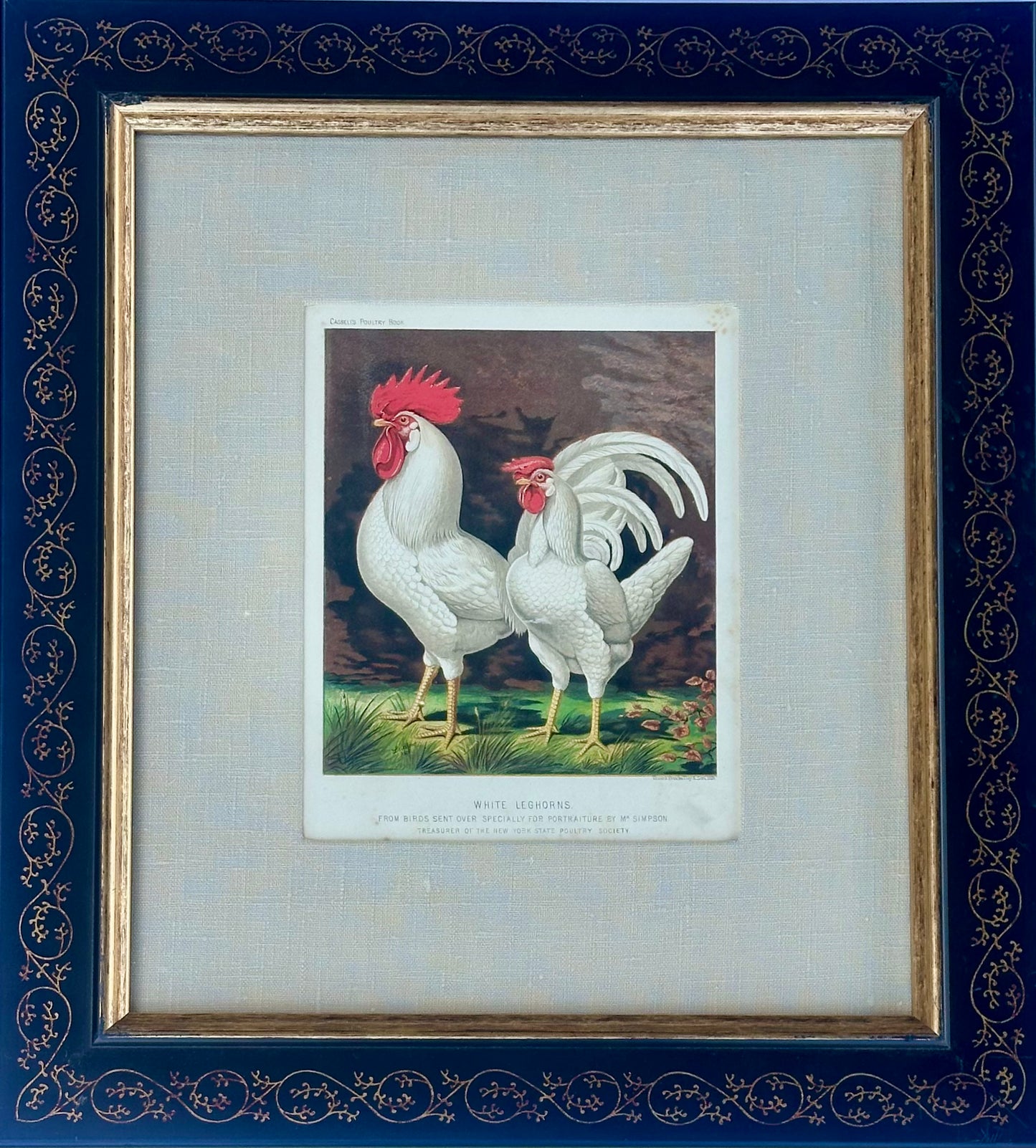 White Leghorn Chicken & Black Polish, Framed Pair By Cassell, 1890