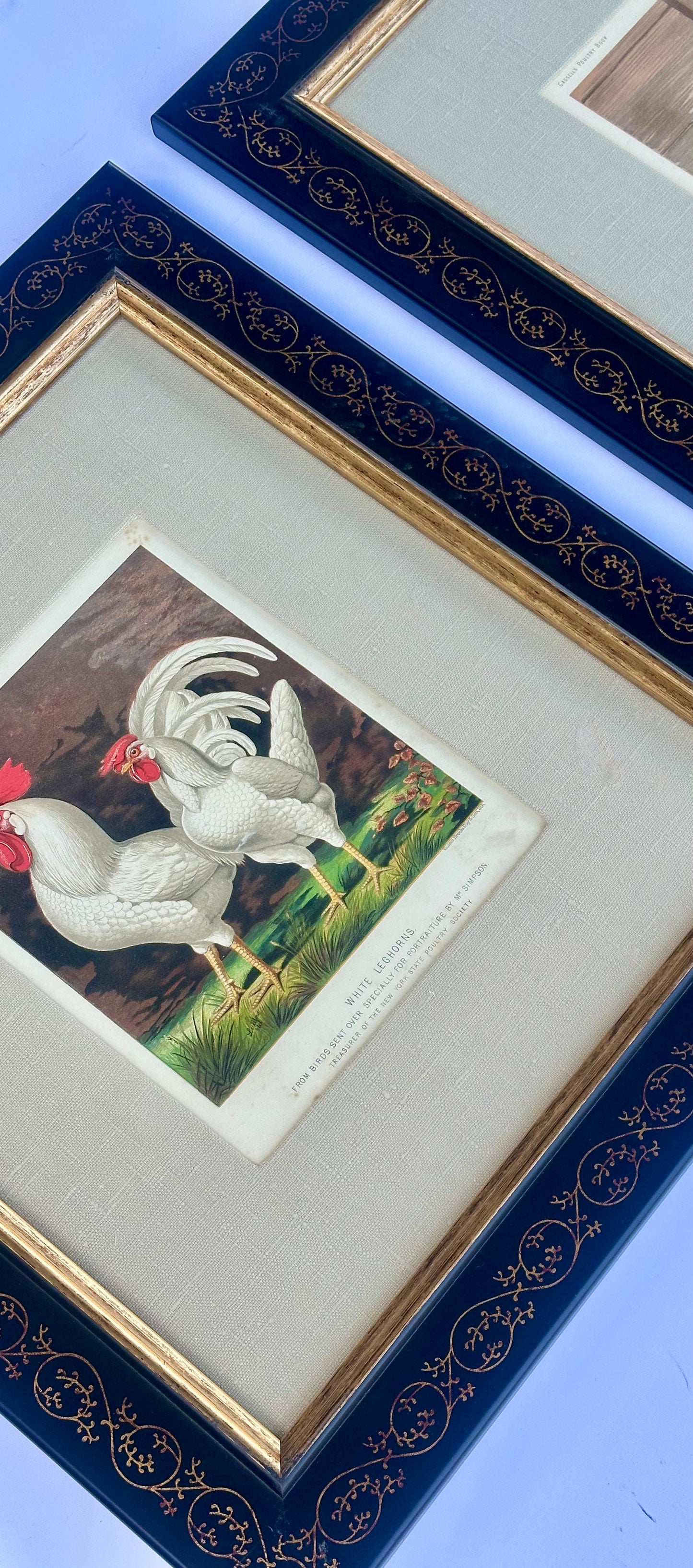 White Leghorn Chicken & Black Polish, Framed Pair By Cassell, 1890