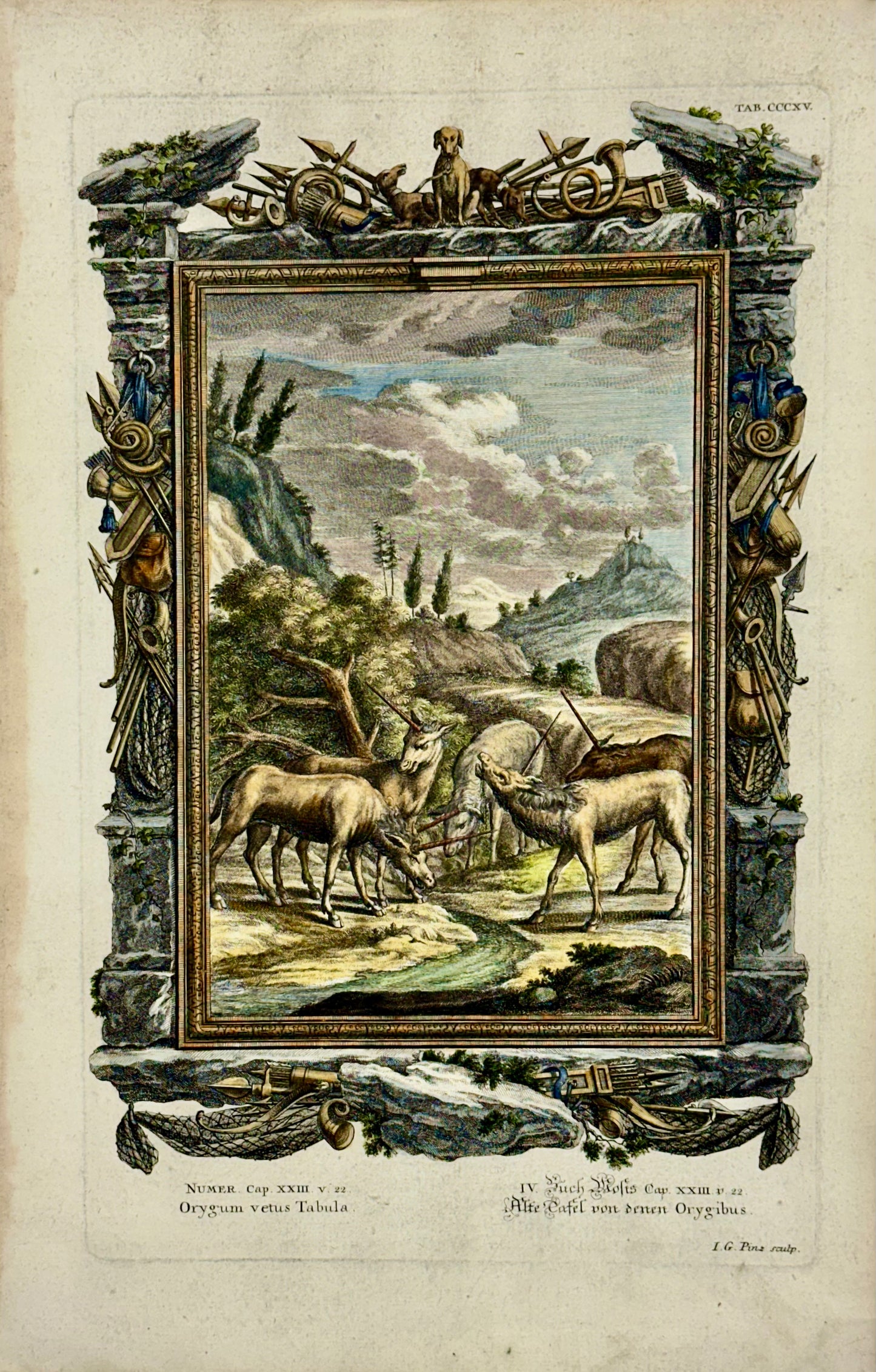 Antelopes Original Print by Johann Jakob Scheuchzer, 1731