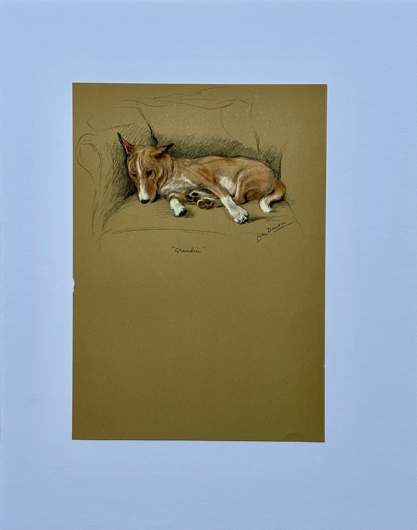 Basenji Dog by Lucy Dawson, 1946