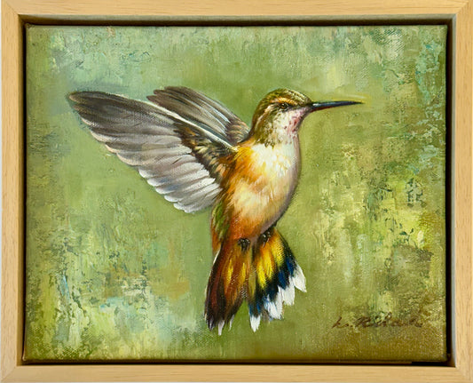 Rufous Hummingbird in flight, original oil on canvas by L. Ricard (Framed)