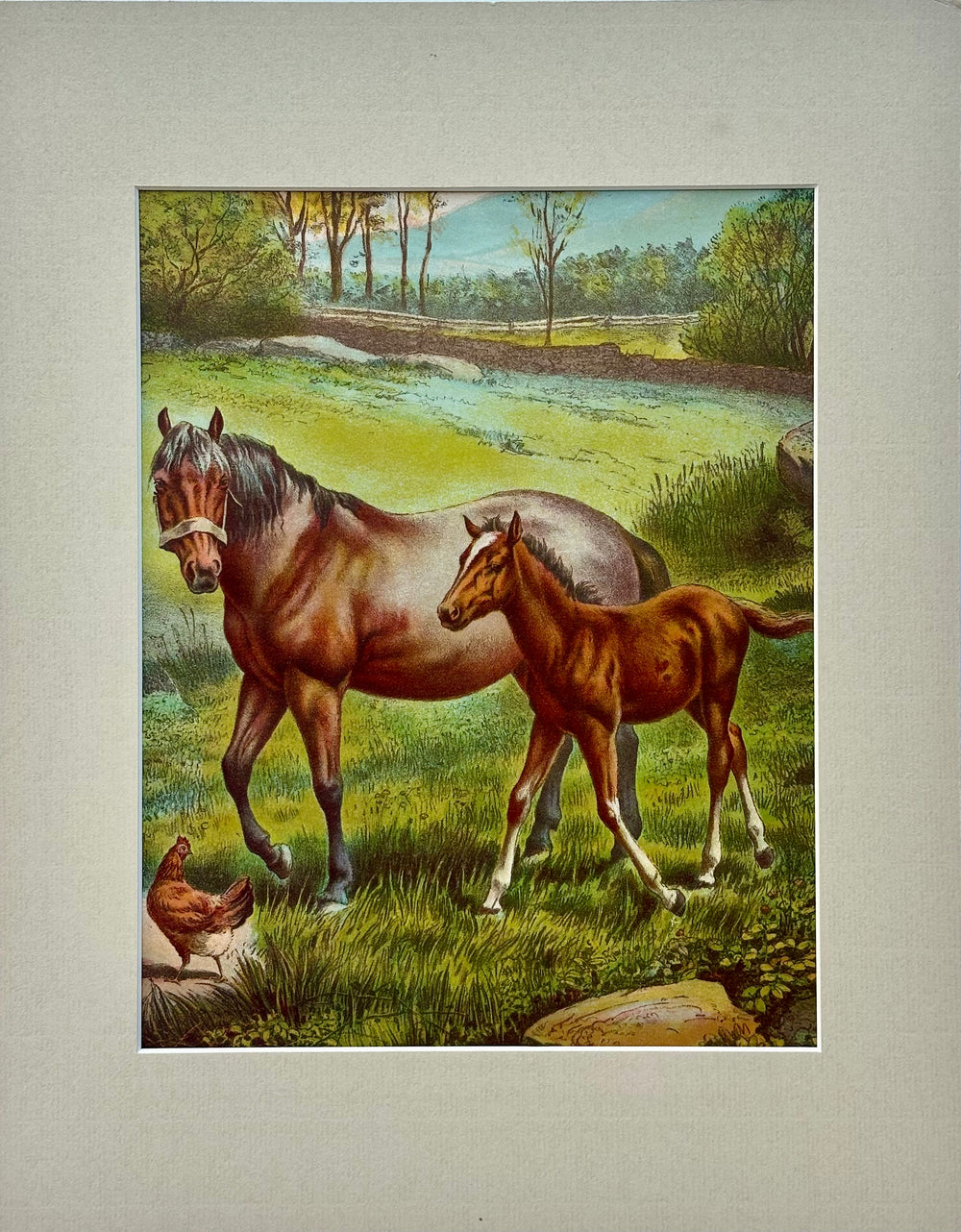 Horse & Colt Original Chromolithograph limited edition by artist Russ Johnson