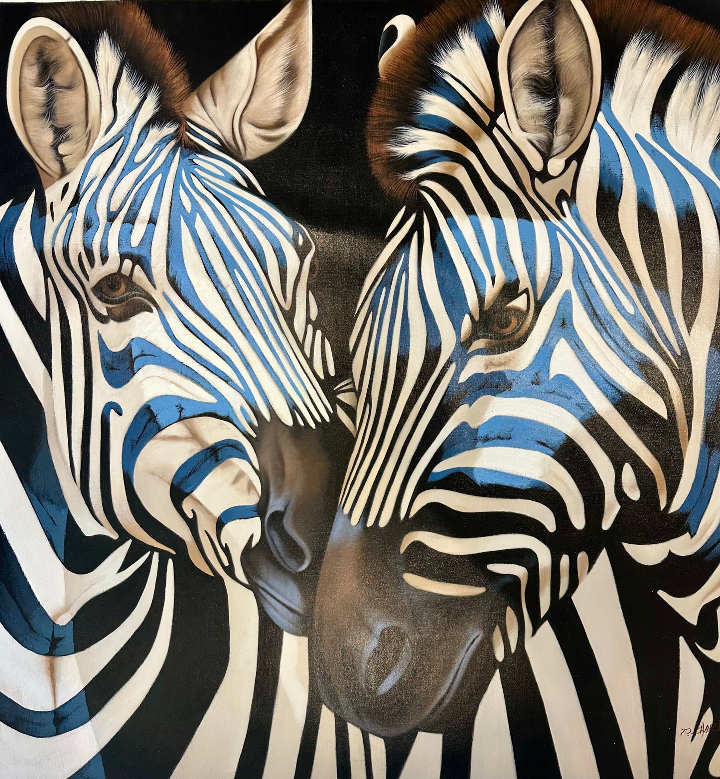 Contemporary Zebra Original Painting in Blue and Black – by P Charles, 36 x 36", Unstretched