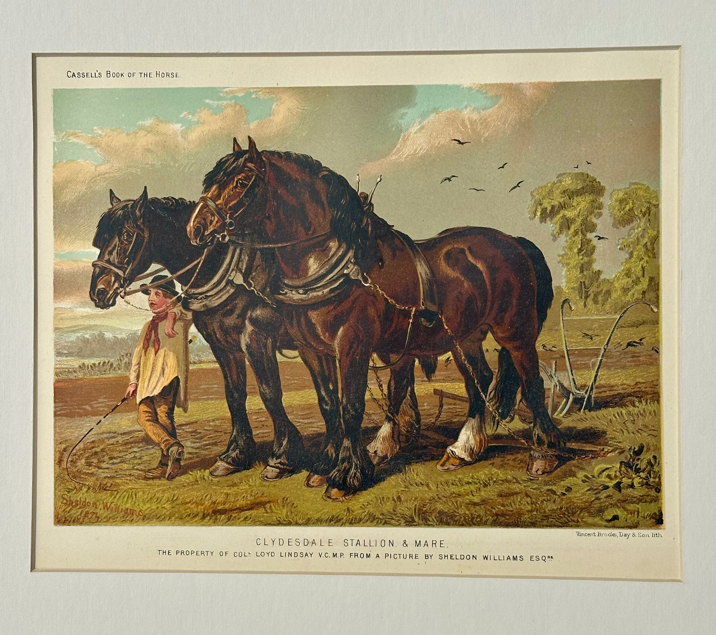 Clydesdale Stallion & Mare Horse Landscape Print by Cassell, 1885