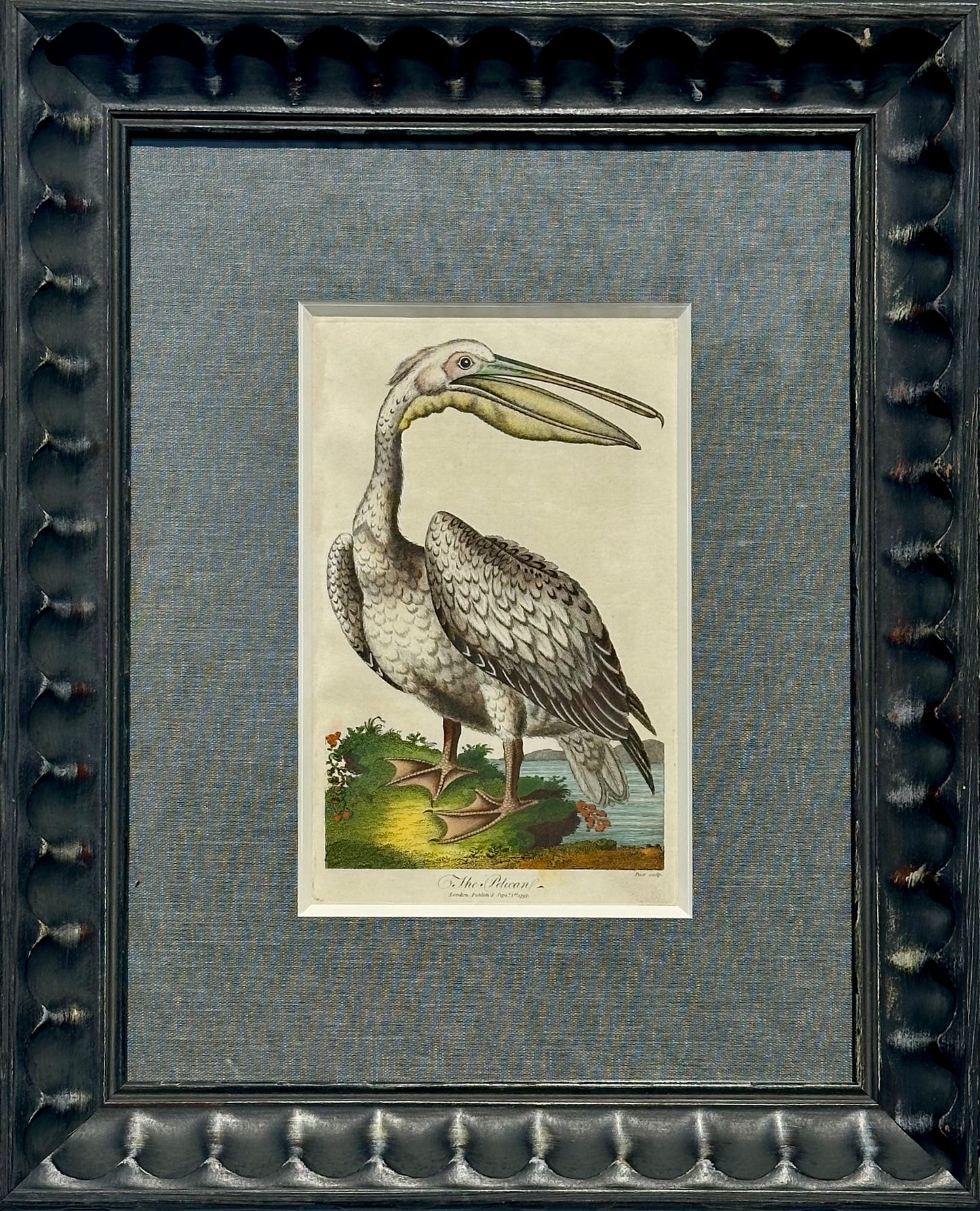 Antique Pelican framed print by J. Pass, 1797