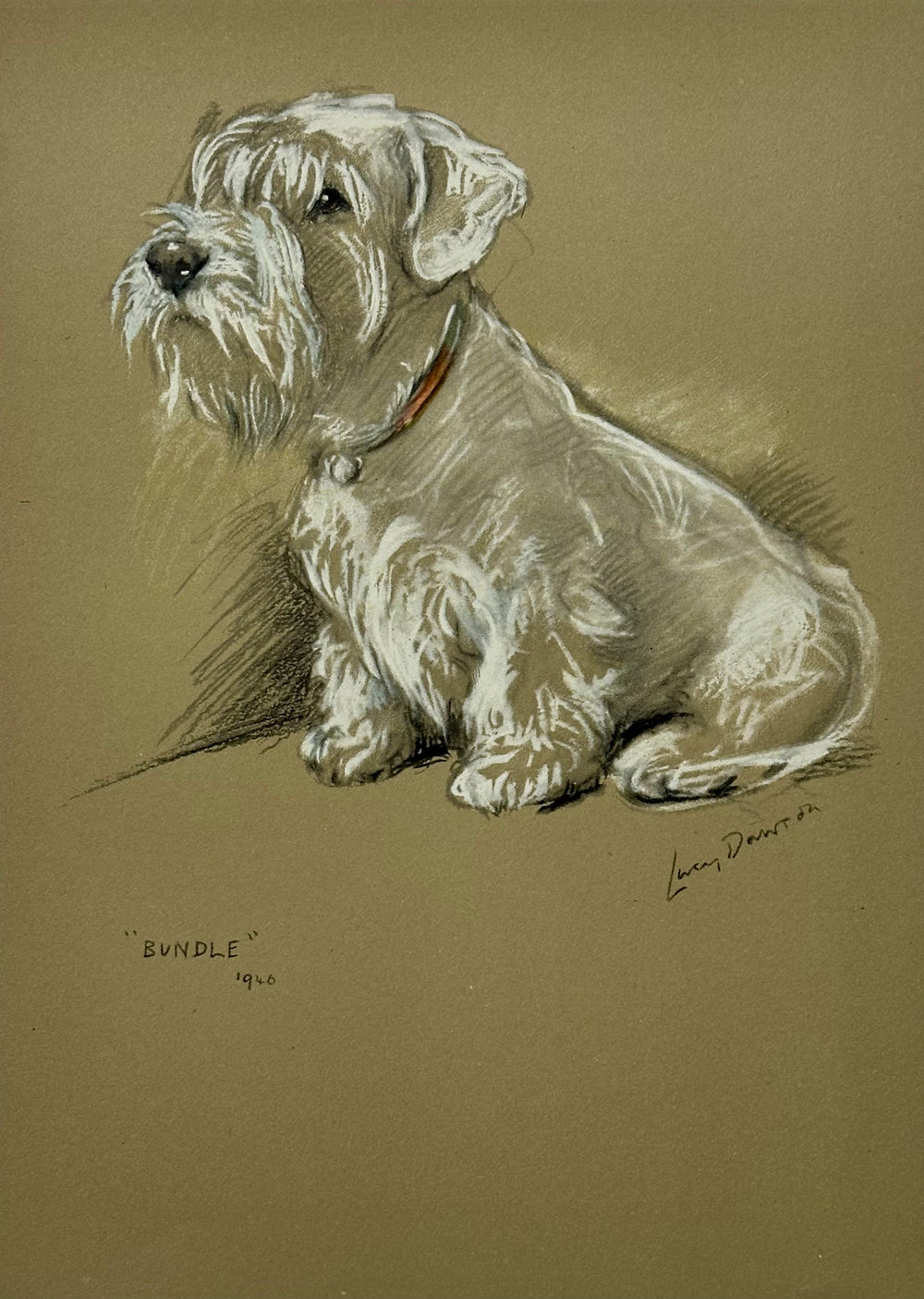 Sealyham Terrier by Lucy Dawson, 1946