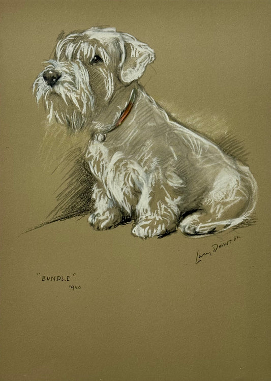 Sealyham Terrier by Lucy Dawson, 1946
