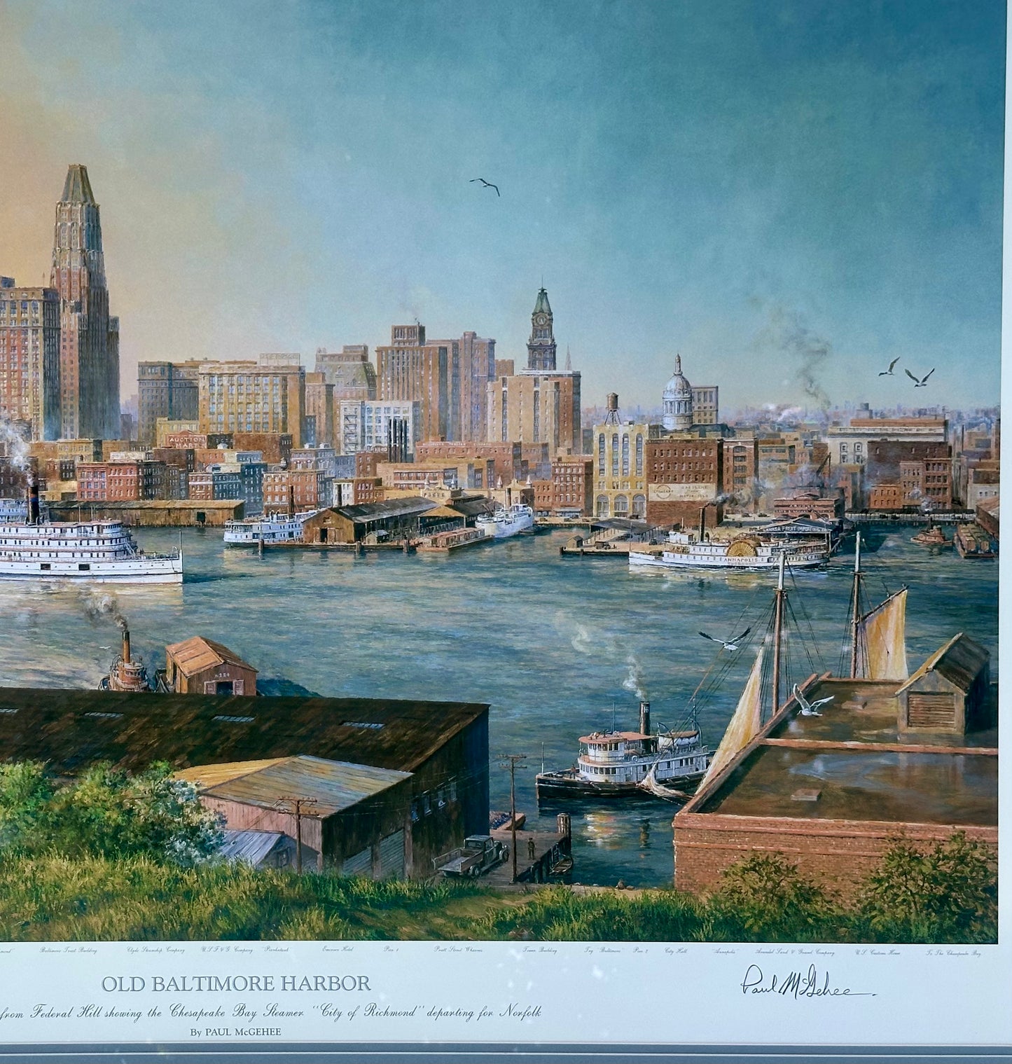 Baltimore Harbor from Federal Hill, Framed Limited Edition Print – Signed Paul McGehee