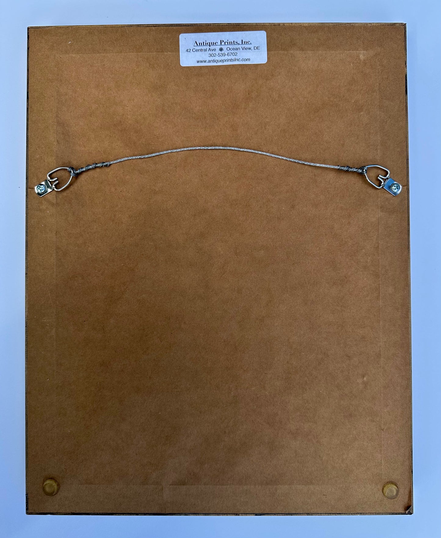 Red Delicious Apple, Original framed print, 1903