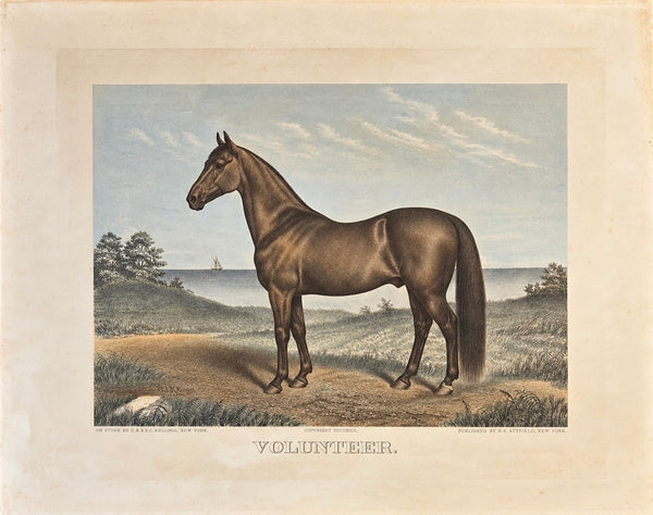 Volunteer, the Great Sire of Trotters — Original Hand-Colored Horse Engraving by John Cameron, c. 1880