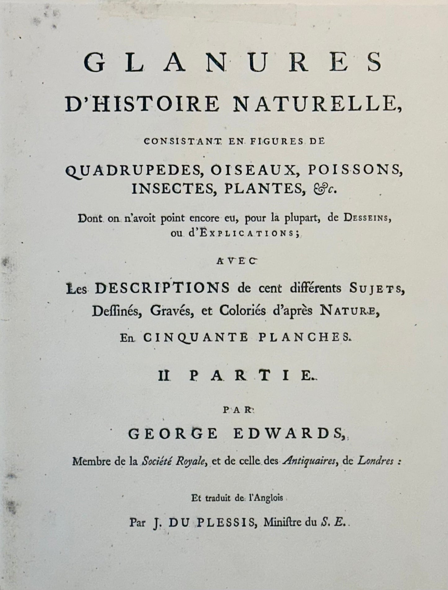 Brown spotted Heathcock by George Edwards, 1740