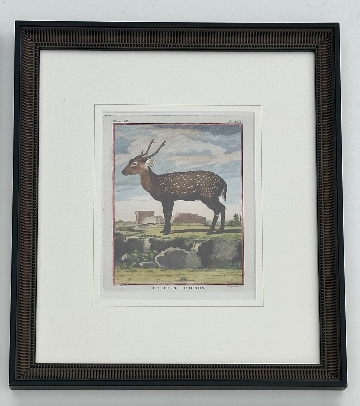 S/4 Buffon Animals, Original engravings, 1755 (framed)