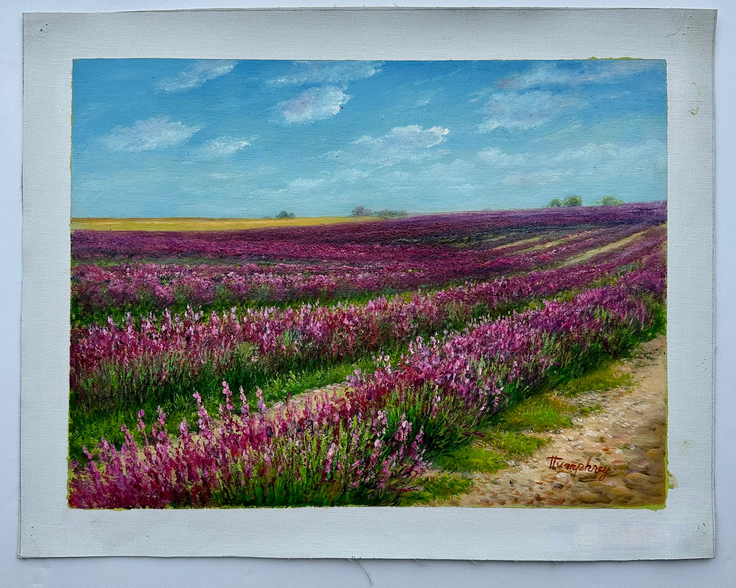Lavender Fields Landscape Oil Painting on Canvas, Unstretched, by Humprey