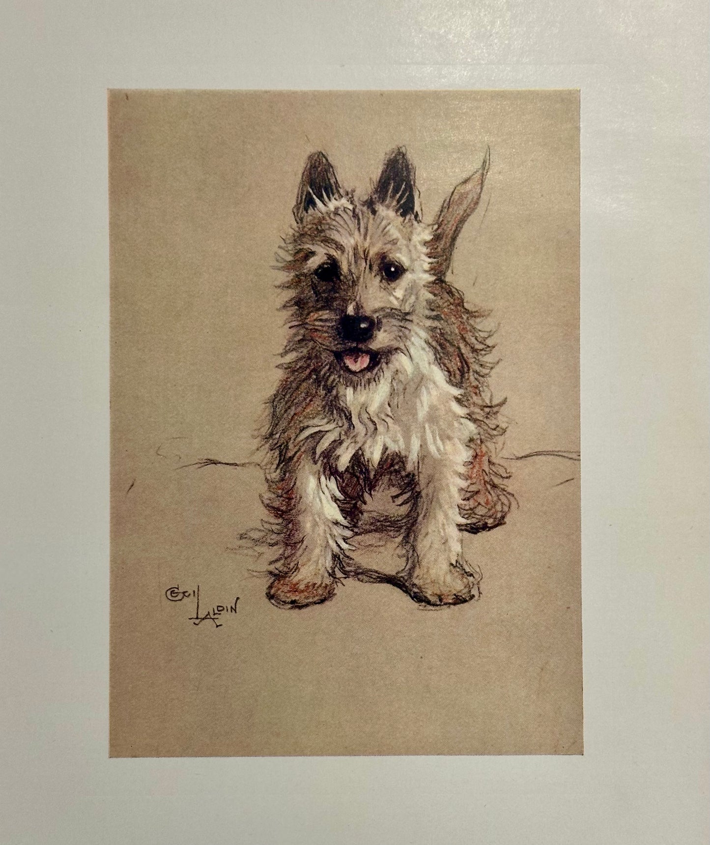 West Highland Terrier by Cecil Aldin, 1928