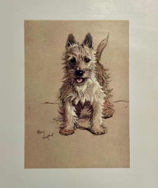 West Highland Terrier by Cecil Aldin, 1928